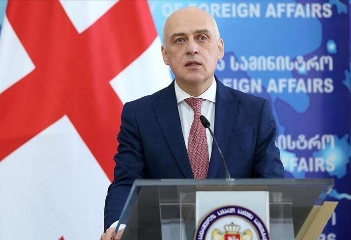 Глава МИД: Грузия должна готовиться к моменту для вступления в НАТО